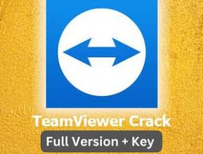 TeamViewer Crack