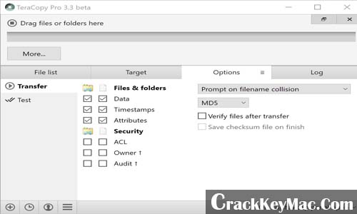 TeraCopy Pro Crack Full Version Free Download